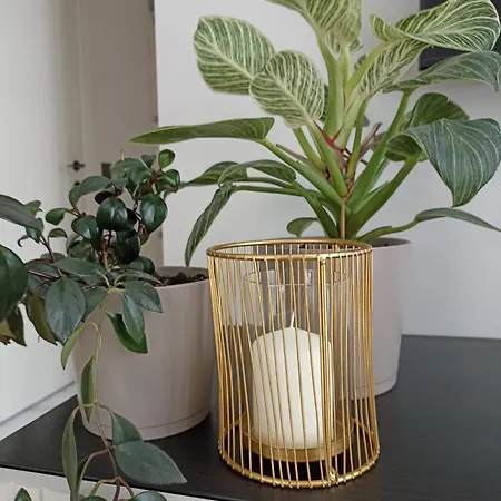 公寓 With An Impressive Terrace On The Roof Of The House *