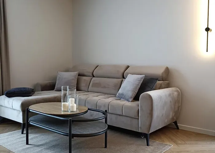 With An Impressive Terrace On The Roof Of The House - Private Free Car Parking Apartment Vilnius