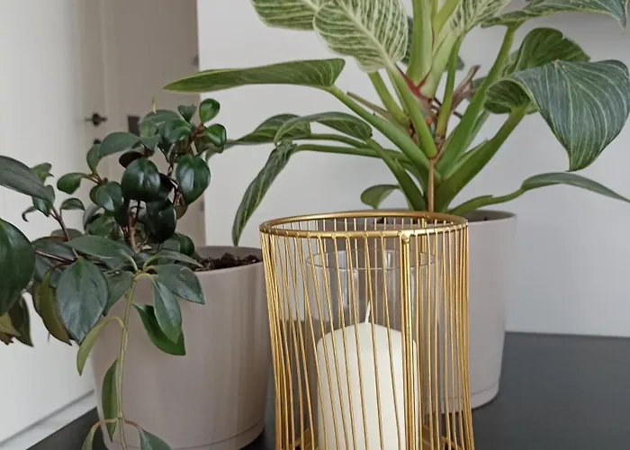 Apartman With An Impressive Terrace On The Roof Of The House *